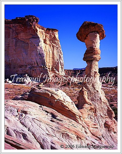 450108   A hoodoo in the Wahweap wash, Utah 